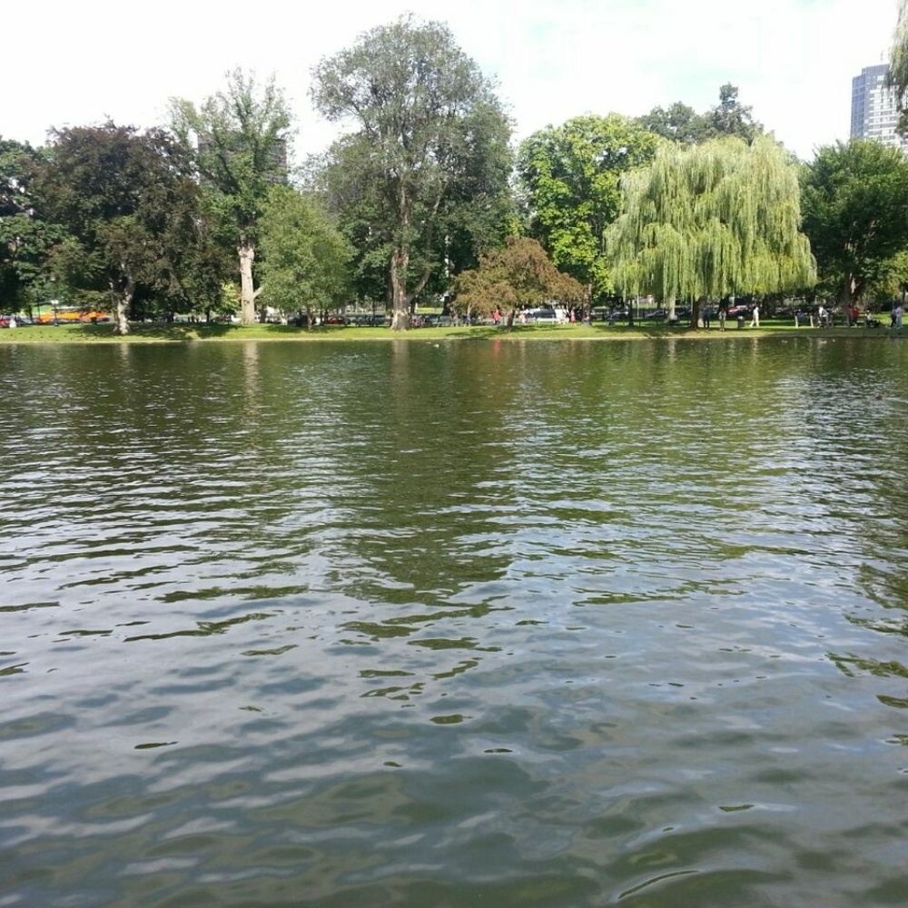 Meet your Posher, Rasheeda